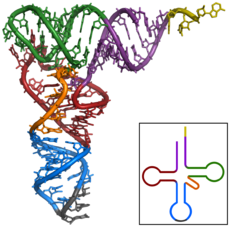 BIOTECNOLG